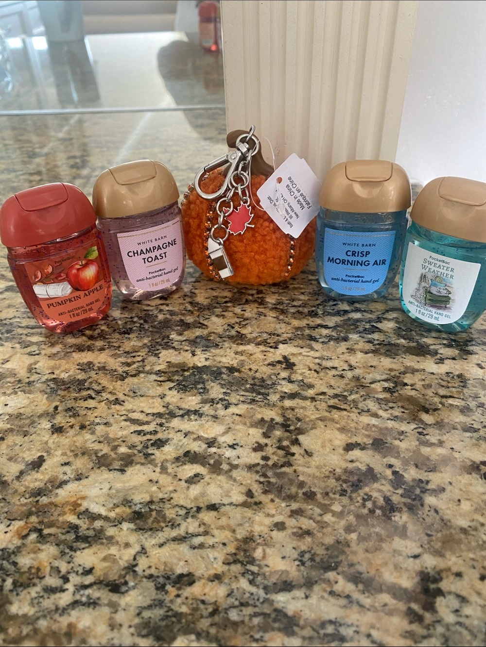 Bath & Body Works PocketBac Hand Sanitizers 4 Bottles And Holder Brand New